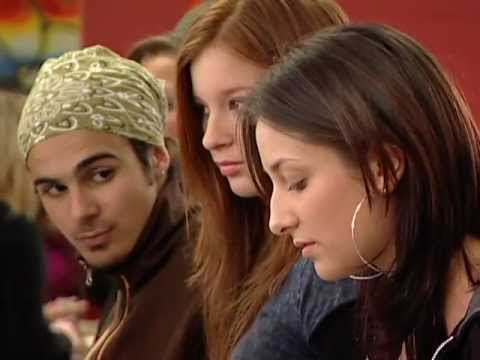 Degrassi Mini 107 - The Lovecats