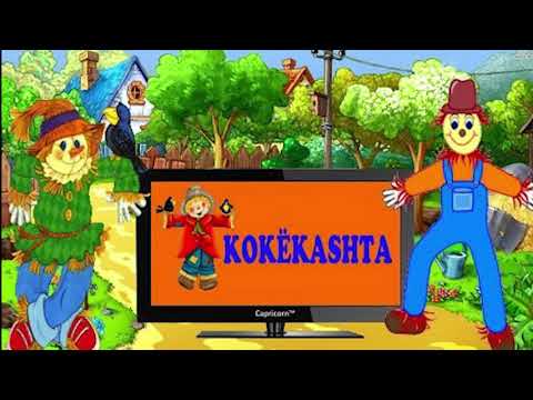 kokekashta, kokashta - Kenge per Femije | Filma te bukur per femije te bukur