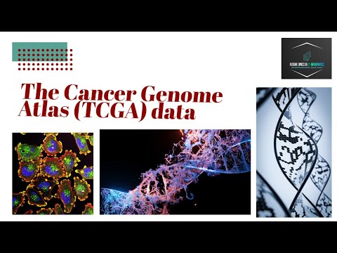 The Cancer Genome Atlas (TCGA) data analysis