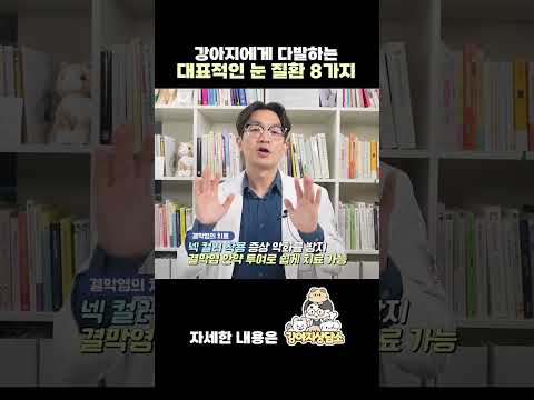 강아지 눈병, 애완견이 쉽게 걸릴수있는 대표적인 눈병 8가지!