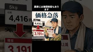 コメ不足の翌年に過去最大在庫　追いつけなかった日本のコメ行政