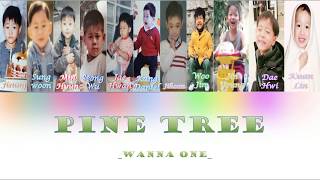 [Vietsub] Wanna One (워너원) - '소나무' (PINE TREE) [COLOR CODED]