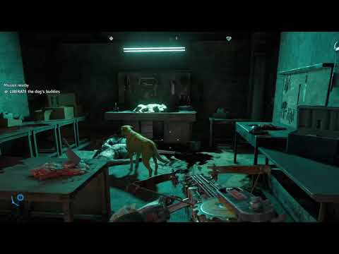 Save the Doggos! Get Timber!