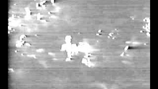 rubettes rock is dead live