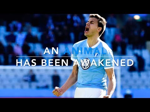 ALEXANDER JEREMEJEFF | AN ANIMAL HAS BEEN AWAKENED | HIGHLIGHTS 2014-2017