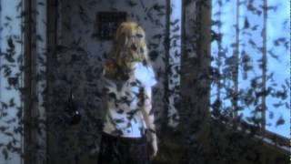 Следы ведьм