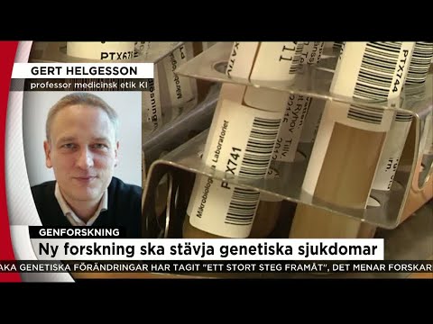 Genforskningen är kontroversiell - Nyheterna (TV4)
