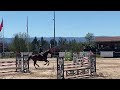 Hongre 6ans kannan/ le tot de semilly