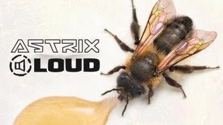 Astrix & LOUD - Genetic Lottery (LIVE EDIT)