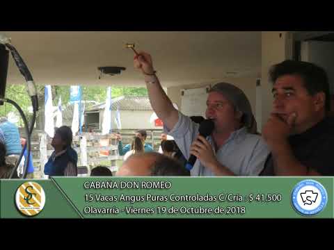 19-10-18 Venta de Vientres Angus P.C. - Cabaña Don Romeo - Olavarría