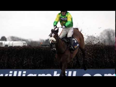 Farewell to Kauto the Great: Cheltenham Gold Cup winner and horse of a lifetime suffered