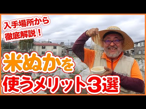 つくし肥料の使い方は？メリットは何ですか?いつ、どこに置くのですか？  庭園