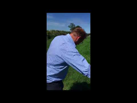 G-Talk: Identifying Weed Grasses