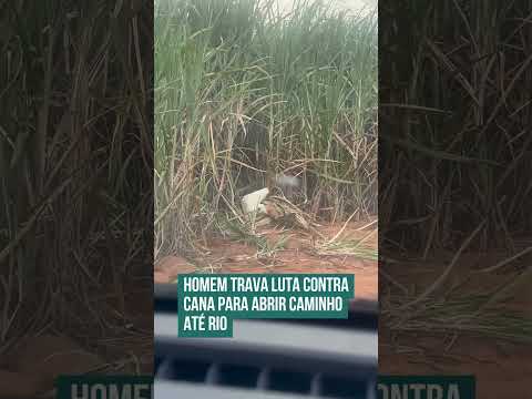 Homem trava luta contra cana para abrir caminho até rio! 😮🤣