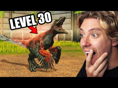 Level 30 Pyroraptor is CRAZY!! Jurassic World The Game