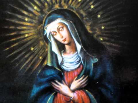 Promienie Miłosierdzia