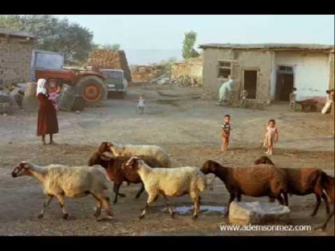 Emirdag Turkusu Dikenli Bahceye Giremeyenler