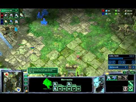 Ketroc's TvP 2Rax Tutorial'ish vs Protoss Fast Expand - Starcraft 2 HotS