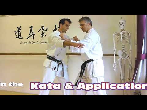 kakiwake uke Bunkai Strategies 2020 week 7 koryu karate oyo jutsu