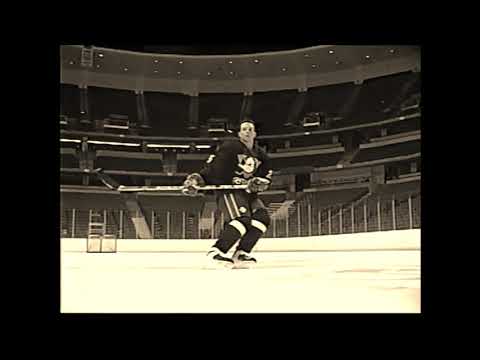 The Anaheim Mighty Ducks on Are-Oh-Vee.