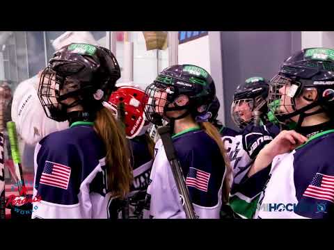 2018 MAHA Girls' 14U Tier 2 State Championship (KV Ravens vs. Little Caesars)