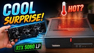 RTX 5060 Low-Profile on SFF Office PC: Is It Really That Hot?