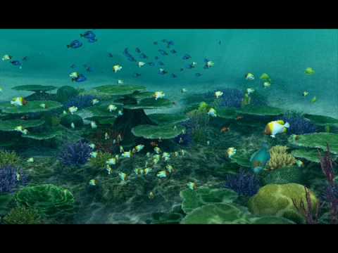 Endless Ocean: Blue World -- Aquarium/ Let's Get Ready to Dive