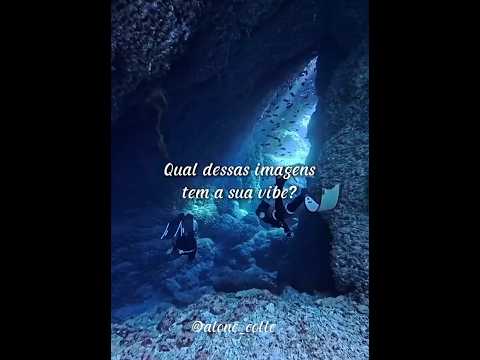 Qual dessas imagens tem a sua vibe? #shorts #vibes #letgo #foryou