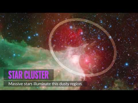 Stars of Cepheus as Seen by NASA's Spitzer Space Telescope