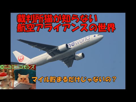 1905 年、ライト兄弟の飛行の 1 つ