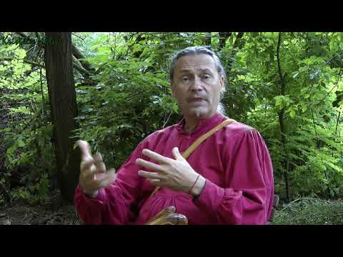 Beszélgetés Sólyomfi Nagy Zoltánnal