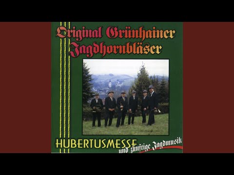 Der Jäger in dem grünen Walde