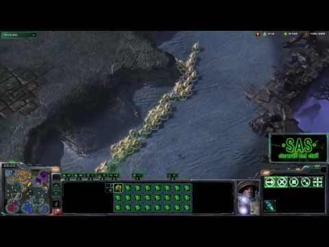 Probe Attack - Starcraft 2