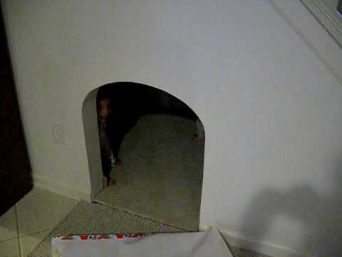 Make your own Hobbit Hole/House- Indoor kids fort… | Who FORTed?