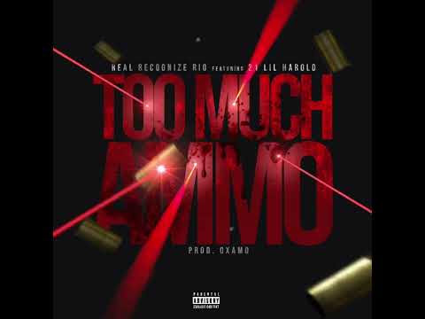 Real Recognize Rio - Too Much Ammo (Feat. 21 Lil Harold) [Prod. oxAmo]