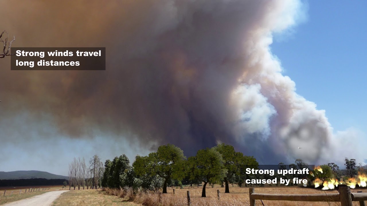 Embers in flight - Fall and ignite