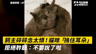 [問卦] 為何從來沒聽說有人後悔沒生小孩