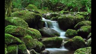 Zen Garden, Part 1 (Savasana Edit)