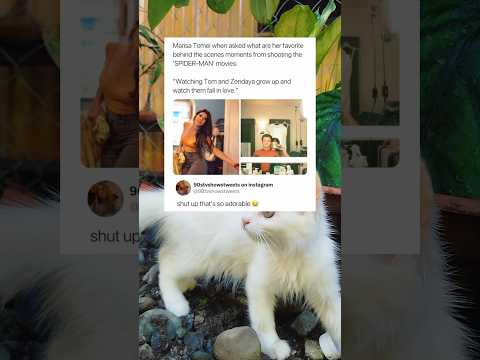 Marisa Tomei on Tom & Zendaya’s Love 🥹💖❗|#shorts