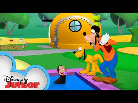 プルートの新しいお友達?| ミッキーモーニングス|ミッキーマウスクラブハウス|ディズニージュニア (Pluto's New Friend ? | Mickey Mornings | Mickey Mouse Clubhouse | Disney Junior)