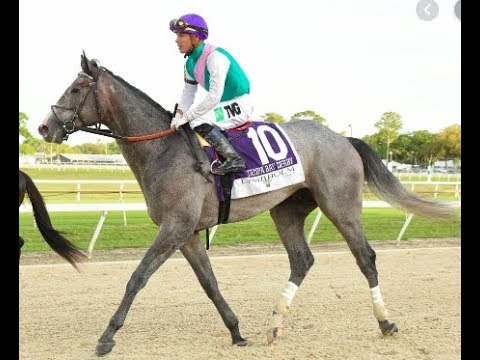 Travers Contender:Tacitus