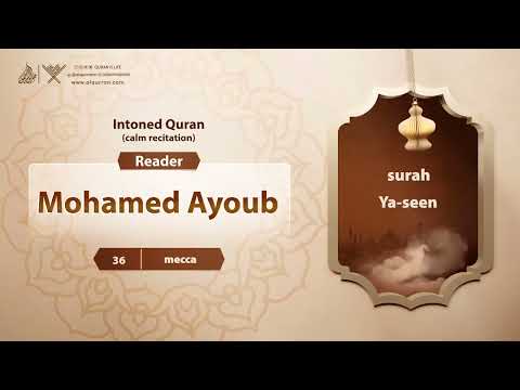 surah Ya-seen {{36}} Reader Mohamed Ayoub