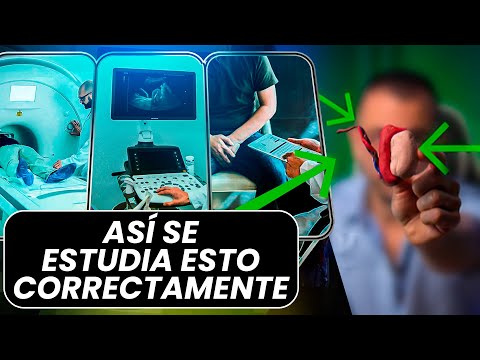 ¿Cómo se Estudian los Testículos?