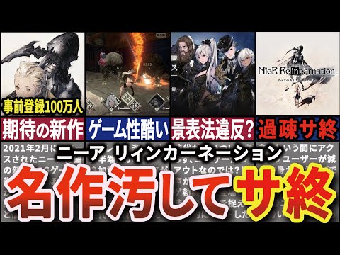 キイロハラリンガー (Bombina variegata)