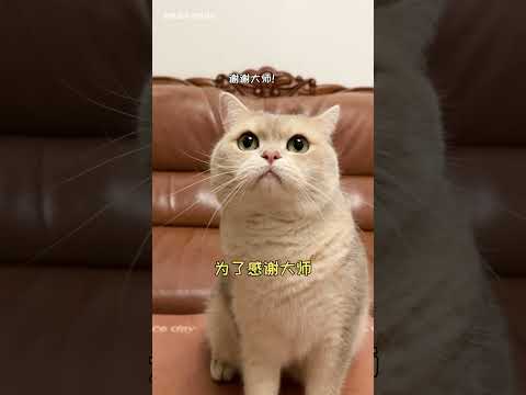 【鈍鈍的日常】為什麽鄰居也給我發505啊？？？？