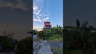 Download lagu merpati kentong turun jam 11#merpatikentong #racingpigeon mp3