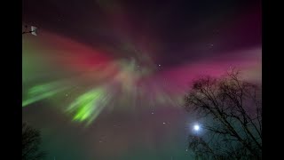 The Aurora Were Crazy! Here's a Video of Them For You.