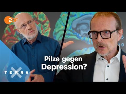 Psilocybin: So könnte es gegen Depression helfen | Terra X Lesch & Co | Harald Lesch | Interview