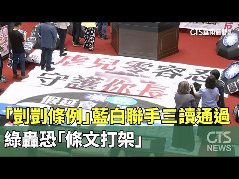 「剴剴條例」藍白聯手三讀通過　綠轟恐「條文打架」