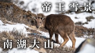 [遊記] 帝王雪景-雪季南湖大山3天2夜